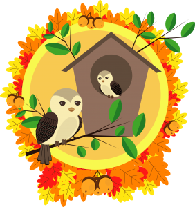 two cute autumn owls